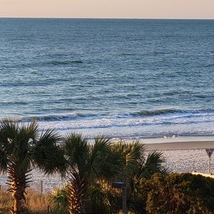 Meet your Posher, Shelly